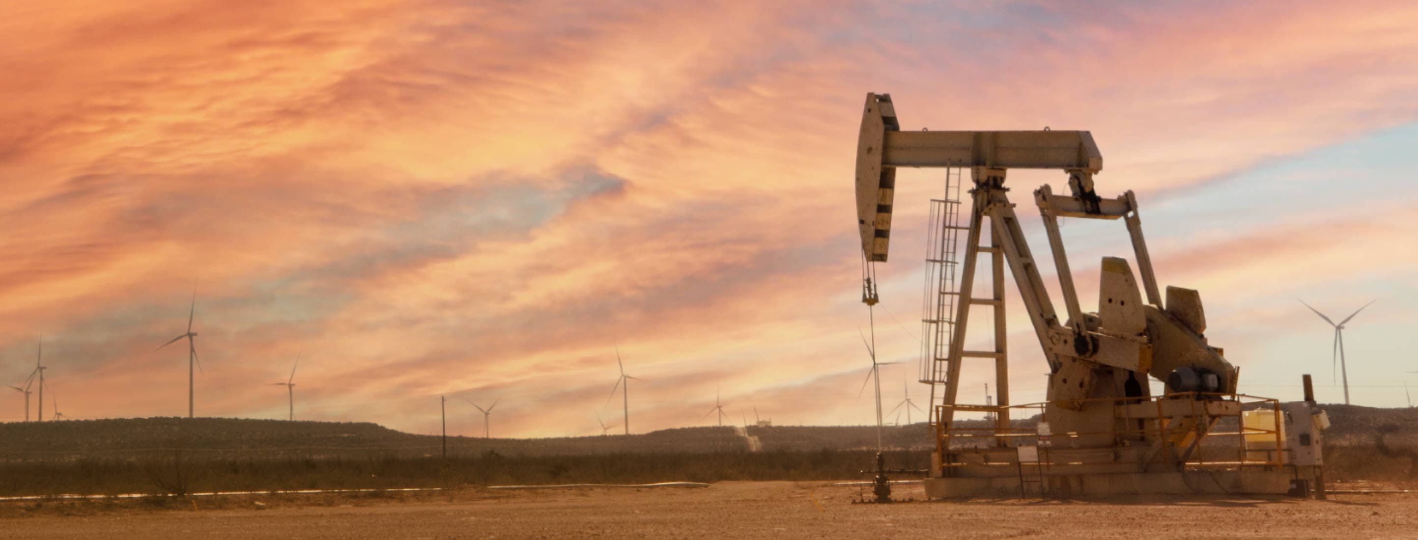 Commitment to Safety